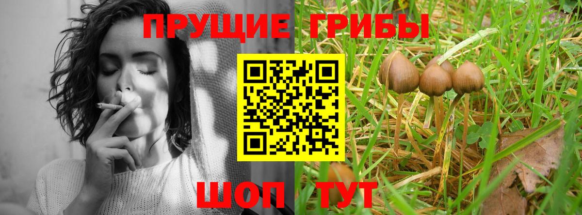 Псилоцибиновые грибы Magic Shrooms Улан-Удэ